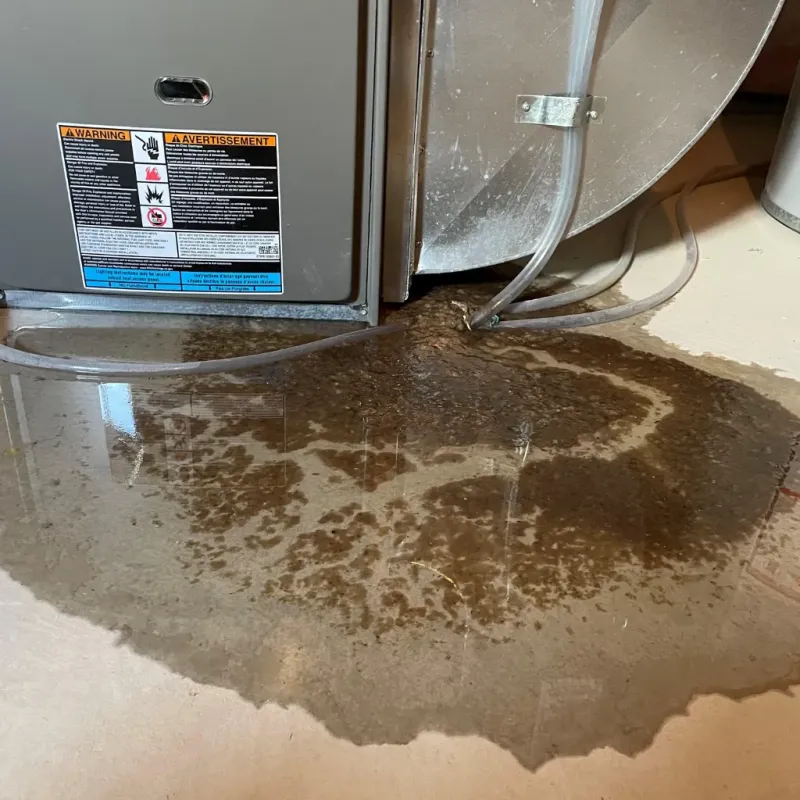 Appliance Leak Cleanup in Le Mars, IA